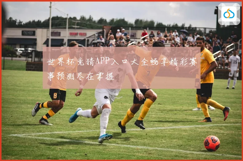 世界杯竞猜APP入口大全畅享精彩赛事预测尽在掌握