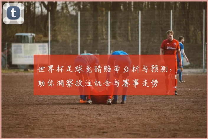 世界杯足球竞猜赔率分析与预测，助你洞察投注机会与赛事走势