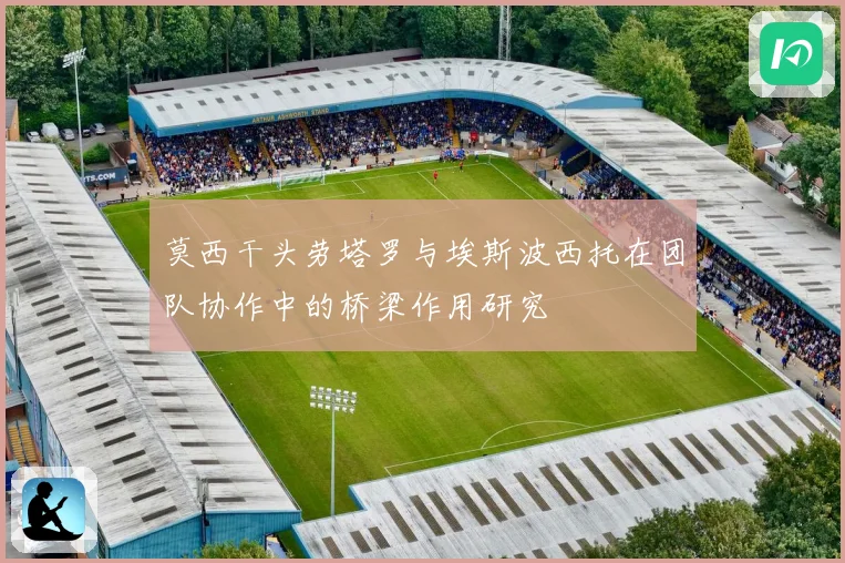 莫西干头劳塔罗与埃斯波西托在团队协作中的桥梁作用研究